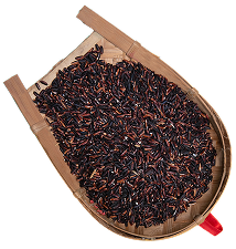 Ultimo Rice LuitFresh – Authentic | Original | Fresh